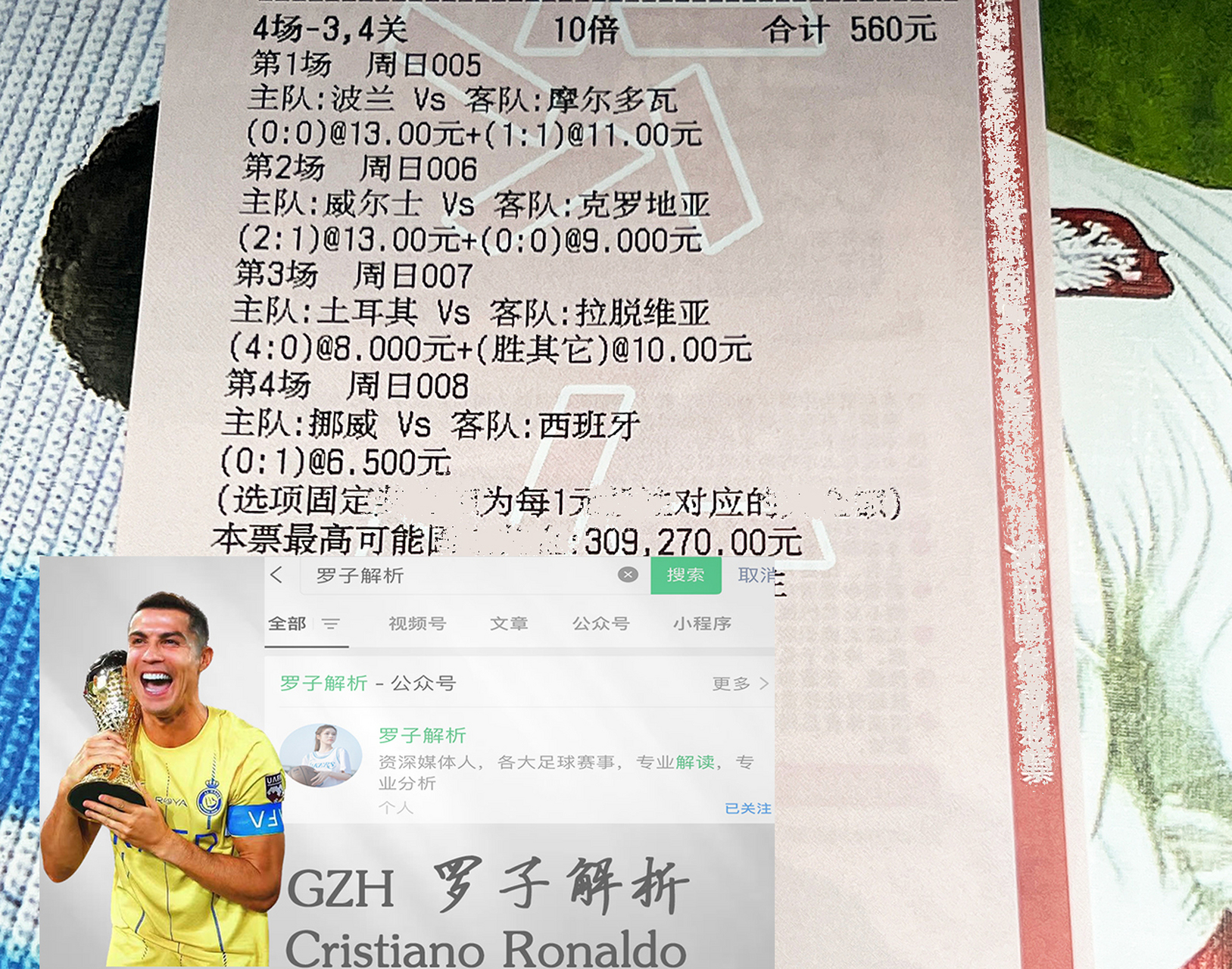 开云体育官网-波黑胜过西班牙，晋级欧国杯半决赛